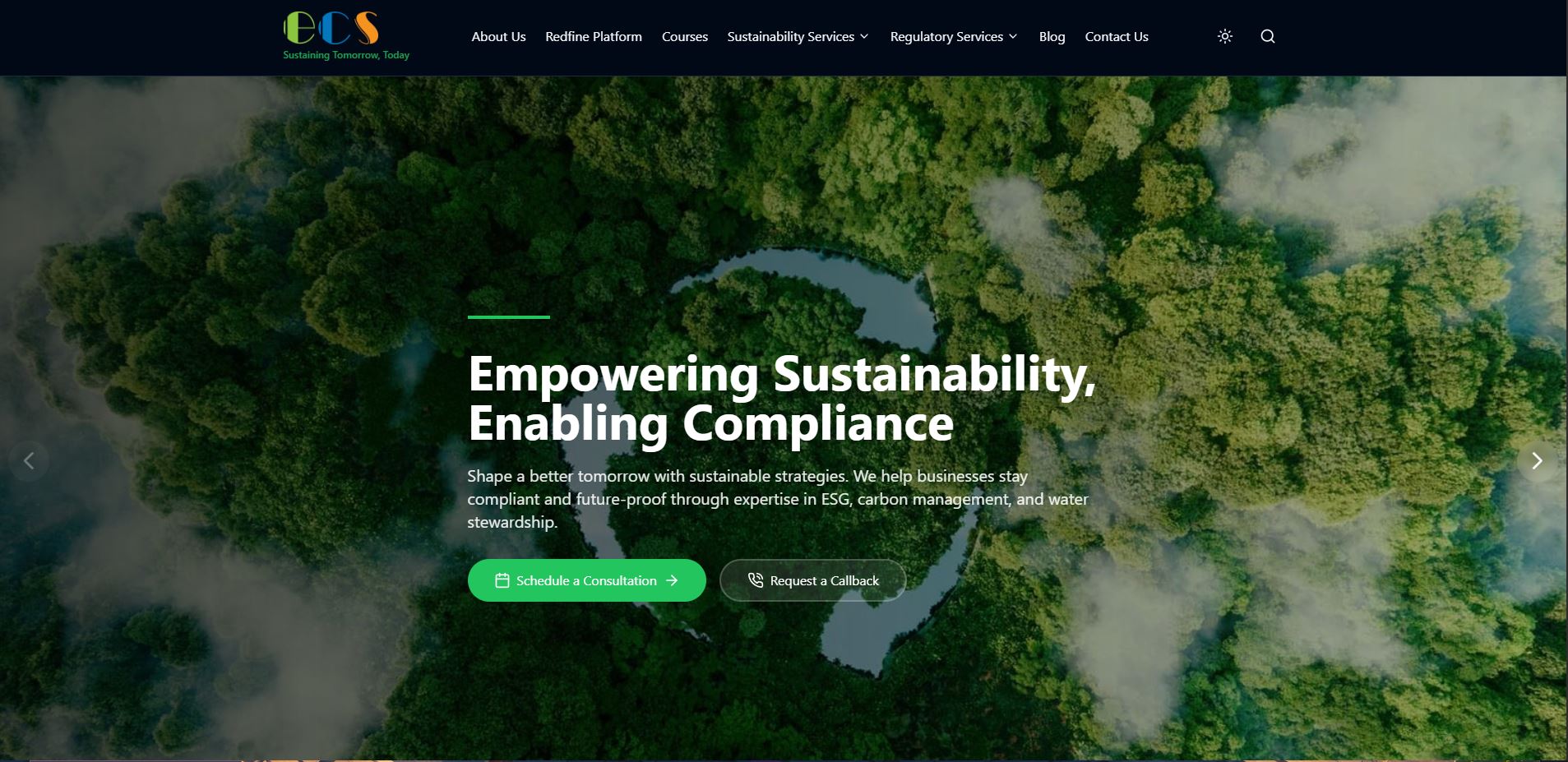 Professional Website Design Project